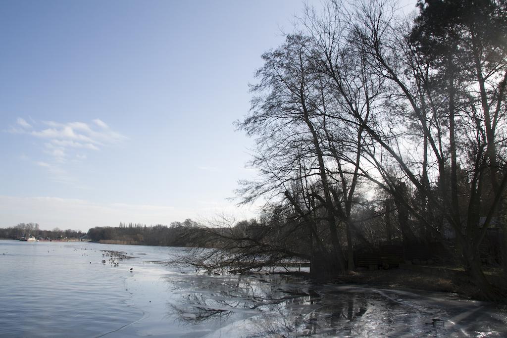 פוטסדאם Villa Weissensee מראה חיצוני תמונה